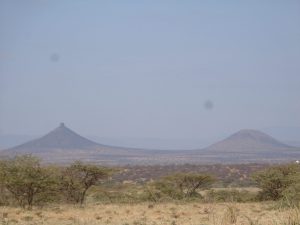 Searching for Stripes