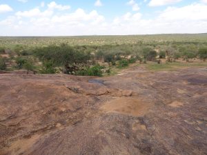 Wandering through Laikipia