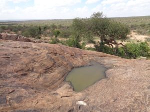 Wandering through Laikipia