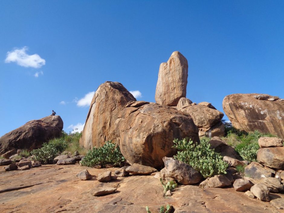 Wandering through Laikipia