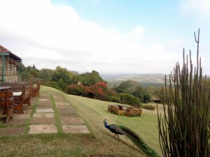 Aberdare Country Club Mweiga central Kenya