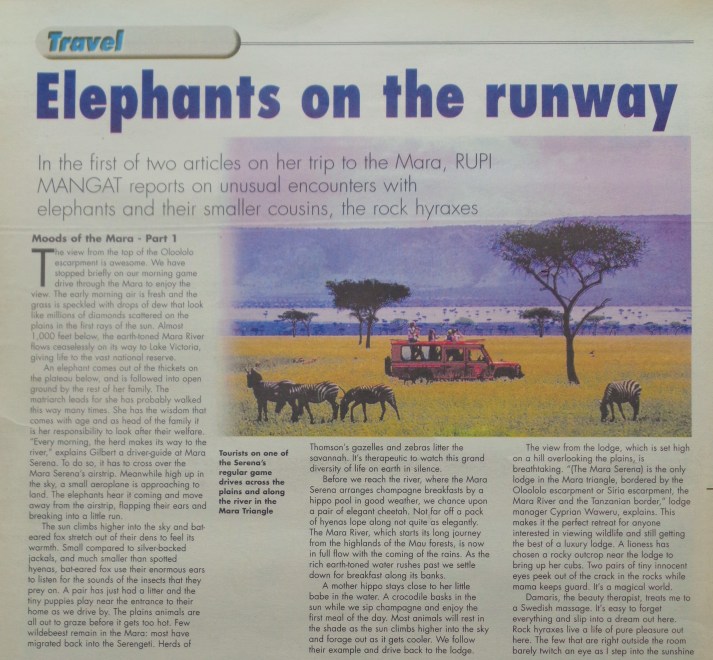 Elephants on the runway in Maasai Mara