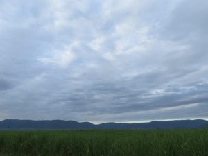 The Charm of Chemelil