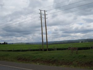 The Charm of Chemelil