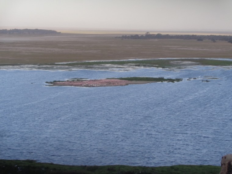 flamingos-in-amboseli-by-noomotio-hill-copyright-rupi-mangat-nov-26-2016-800x600