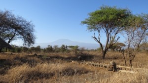 Mount Kilimanjaro from Kibo Safari Camp