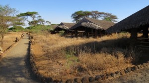 Kibo Safari Camp