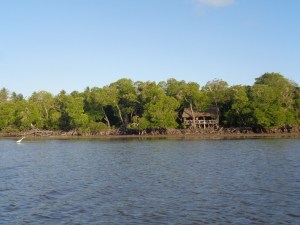 Crabshack Mida Creek for delicious sea-fest