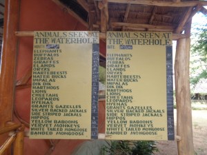 Animals seen at the waterhole at Satao Camp in Tsavo East National Park