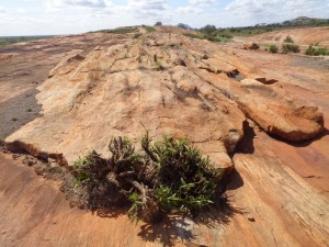 Mudanda Rock - 1.5km long