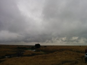 Beautiful sky and savanna of Nairobi National Park