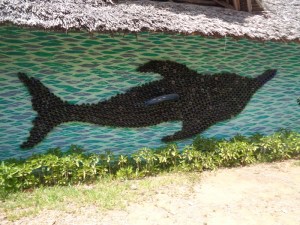 Thousand bottle Bottle-nose dolphin by Andrew McNaughton at EcoWorld, Watamu