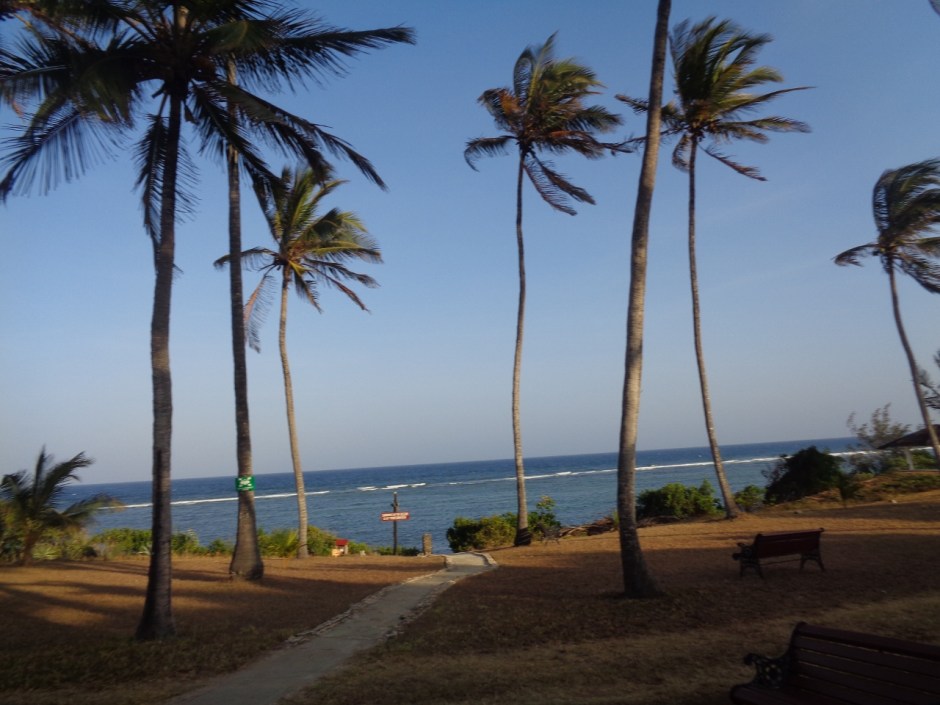 Garden by the Indian Ocean - picture copyright Rupi Mangat