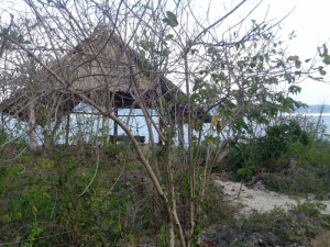 Serene spot in the banda at Amare Tiwi- picture copyright Rupi Mangat