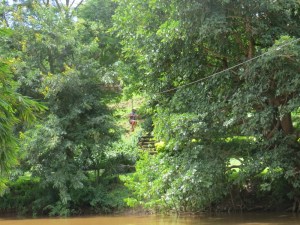 Zip-lining at Savage Wilderness