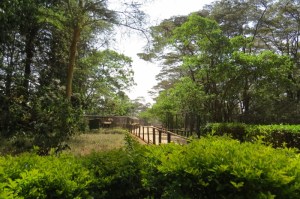 A nice place to stroll - Nairobi Animal Orphanage organized by the Cheetah team - Copyright Maya Mangat