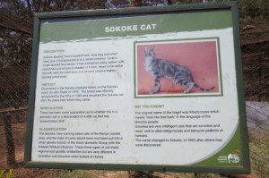 Well placed posters by animal cages at Nairobi Animal Orphanage organized by the Cheetah team - Copyright Maya Mangat