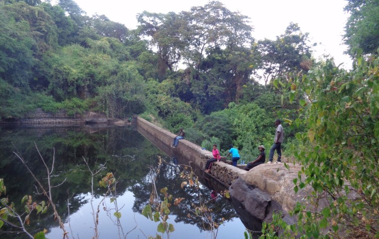 The dam in the forest -copyright Rupi Mangat