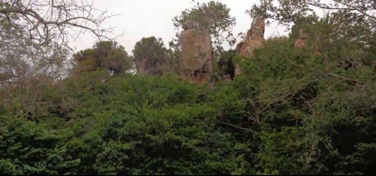 Mutomo Plant hill sanctuary Copyright Rupi Mangat