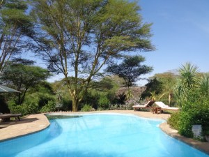 Cool by the pool- Tortilis Camp in Amboseli, - Copyright Rupi Mangat