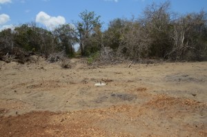 Cemented beacon on the ground inside the 'BOX' 900 acres for the proposed plant- copyright Rupi Mangat