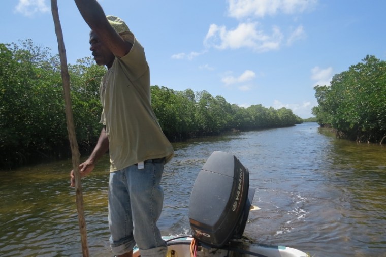 Captain Lalli of Kenya Wildlife Service, carefully steering his speedboat christened, Pweza for octopus through the narrow mangrove channal to Siyu - Picture copyright: Maya Mangat. 