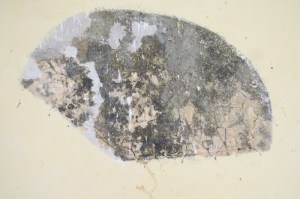 Etching on the wall in the fort tower of the dhow and figures- you have to look really carefully -copyright picture Maya Mangat.