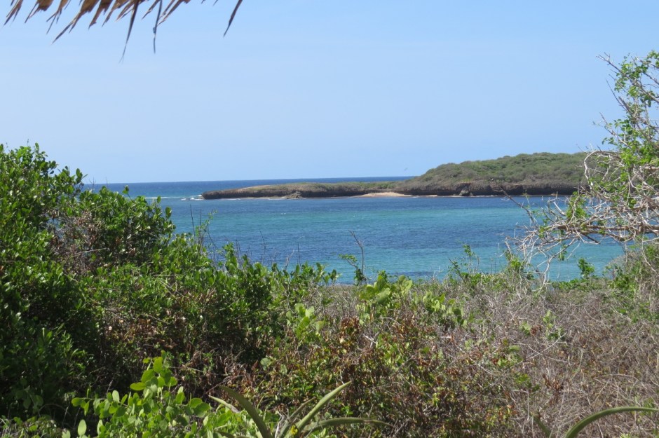 The secluded bay at Kiunga Marine National Reserve about 20 km from south Somalia Copyright Maya Mangat