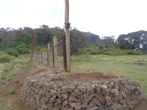 The fence between the farm lands on Mount Kenya and the Mount Kenya Forest. The elephants enter through the opening which has a sensory camera fited to the post (the little black box on the left) copyright Rupi Mangat