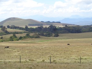 The high altitude farms of Mount Kenya Copyright Rupi Mangat
