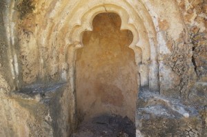 The mihrab facing Mecca in the sultanate of Pate in ruins - Pate island Copyright Maya Mangat