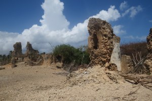 The sultanate of Pate in ruins - Pate island Copyright Maya Mangat