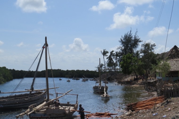 lower end of Pate by the mangrove-lined creek with a few dhows anchored and children splashing around. - Pate island Copyright Maya Mangat
