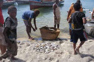 Fisherman on Pate island Copyright Rupi Mangat
