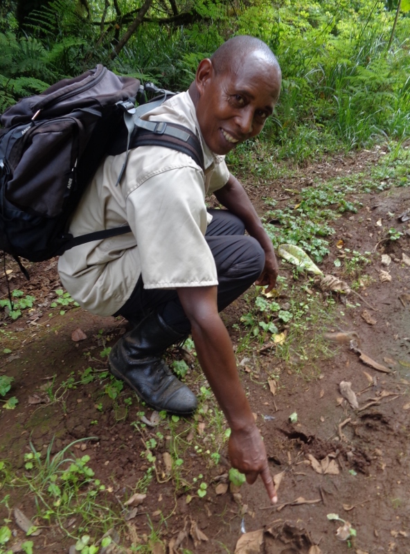 Joseph Munene th guide cum chef at Castle Forest Lodge Copyright Rupi Mangat