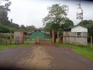 Gate to Castle Forest Lodge Copyright Rupi Mangat