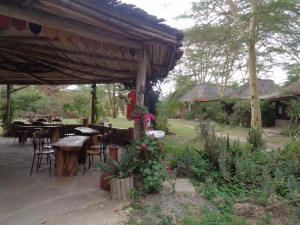 Swara Plains Acacia Camp outside Nairobi Copyright Rupi Mangat