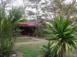 Swara Plains Acacia Camp outside Nairobi Copyright Rupi Mangat