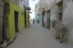 Street in Lamu Stone Town where mostly donkeys are used for transport Photo: Maya Mangat