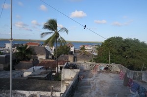 Rooftop view of Lamu from Nyota House Photo: Maya Mangat