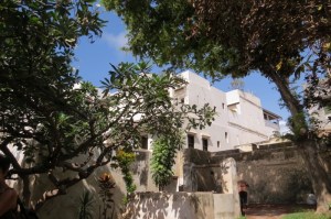Inside garden of Swahili House Museum with the central well to draw fresh water Photo: Maya Mangat