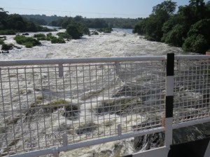 Karuma rapids on the Nile near Murchison Falls Copyright Rupi Mangat