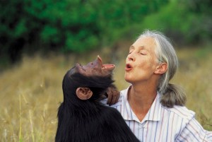 Dr Jane Goodall with Uruhara pant-hooting, 1996. Courtesy: GRASP - Great Apes Survival Partnership - www.un-grasp.org