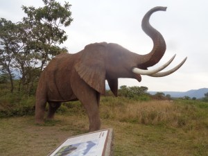 Free roaming elephants in Arusha National Park but this one is a model - copyright Rupi Mangat