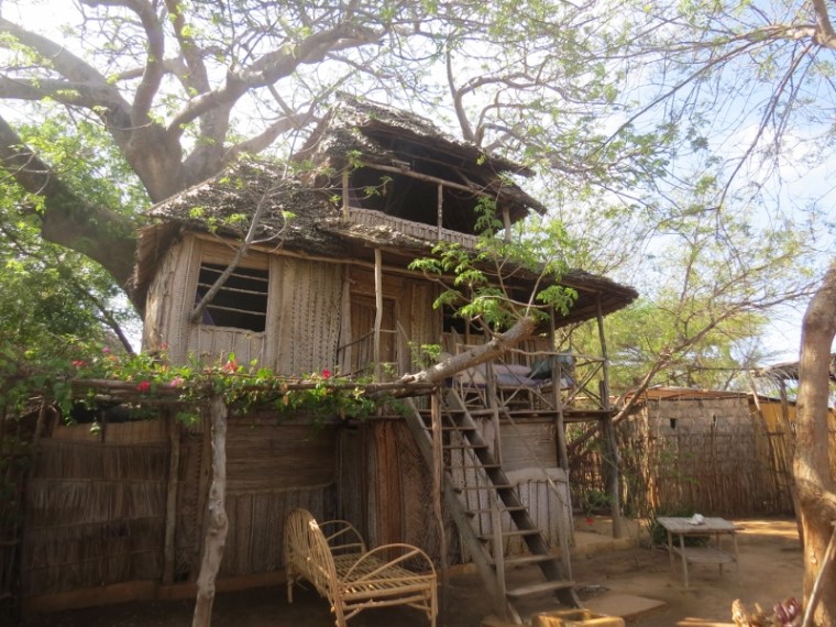 Tree house on the baobab tree at Diamonds Copyright Rupi Mangat