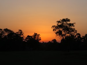 Sunset over the Nile at Jinja Copyright Rupi Mangat