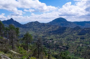 The Taita hills landscape is 95% deforested Copyright Luca Borghesio