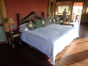 In the room up amongst the branches- Tarangire Treetops Picture: Galib Mangat