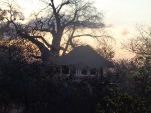 Luxury ien suite 'room' by the baobab - Tarangire Treetops in Randilen WMA in Tanzania - an eco-lodge. Picture: Galib Mangat