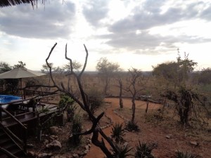 Luxury in the wilderness - Tarangire Treetops in Randilen WMA in Tanzania - an eco-lodge. Picture: Galib Mangat